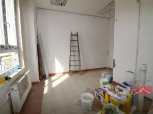 Pronájem výrobních prostor, Pelhřimov, Pražská, 665 m2