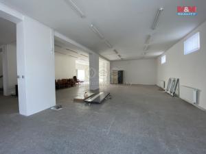 Pronájem obchodního prostoru, Louny, Říční, 390 m2