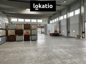 Pronájem skladu, Čelákovice, 4000 m2