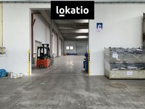 Pronájem skladu, Čelákovice, 4000 m2