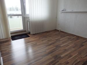 Pronájem bytu 1+1, Břidličná, Nerudova, 38 m2