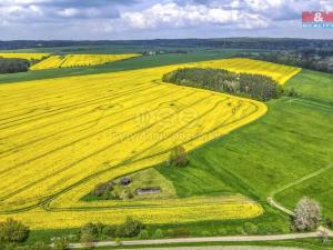 Prodej zemědělské půdy, Ostrov u Bezdružic - Pláň, 6672 m2