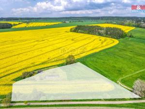 Prodej zemědělské půdy, Ostrov u Bezdružic - Pláň, 6672 m2