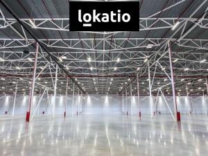 Pronájem skladu, Ostrava, 17. listopadu, 5994 m2