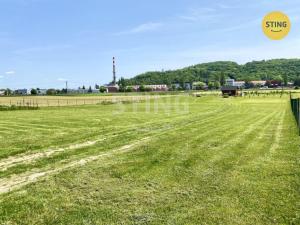 Prodej zahrady, Hradec nad Moravicí, Pod Hanuší, 800 m2