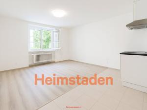 Pronájem bytu 1+kk, Havířov - Šumbark, U Nádraží, 29 m2