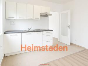 Pronájem bytu 1+kk, Havířov - Šumbark, U Nádraží, 29 m2
