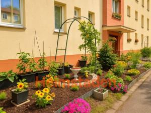 Pronájem bytu 1+kk, Havířov - Šumbark, U Nádraží, 29 m2