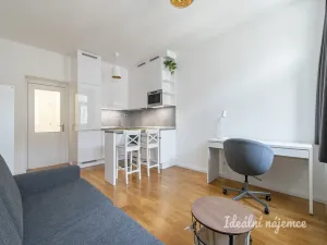 Pronájem bytu 1+kk, Praha - Vinohrady, Záhřebská, 28 m2