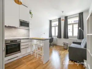 Pronájem bytu 1+kk, Praha - Vinohrady, Záhřebská, 28 m2