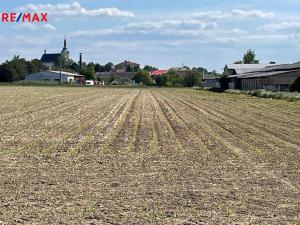 Prodej zemědělské půdy, Dolany, 10206 m2