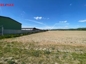 Prodej zemědělské půdy, Dolany, 5000 m2