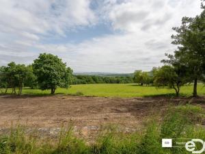 Prodej pozemku pro bydlení, Bradlec, K Těšnovu, 1177 m2