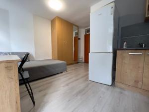 Pronájem bytu 1+kk, Praha - Vršovice, Donská, 20 m2