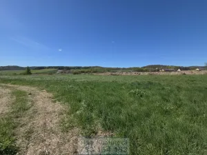 Prodej pozemku pro bydlení, Krnov - Krásné Loučky, 700 m2