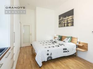 Pronájem bytu 1+kk, Praha - Vinohrady, Španělská, 24 m2