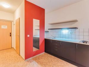 Pronájem apartmánu, Praha - Smíchov, Křížová, 30 m2