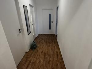 Pronájem bytu 2+1, Brno, Mendlovo náměstí, 51 m2