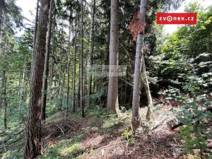 Prodej lesa, Valašská Bystřice, 17142 m2