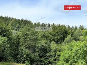 Prodej lesa, Valašská Bystřice, 17142 m2