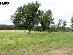 Prodej pozemku pro bydlení, Pertoltice, 4488 m2