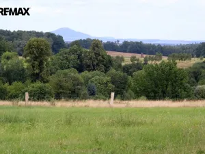 Prodej pozemku pro bydlení, Pertoltice, 4488 m2