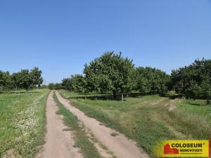 Prodej pozemku pro bydlení, Velké Pavlovice, 550 m2