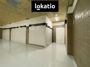 Pronájem skladu, Olomouc - Holice, 400 m2