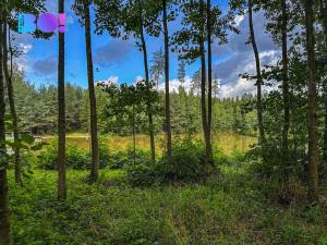 Prodej pozemku pro bydlení, Skuhrov, 3959 m2