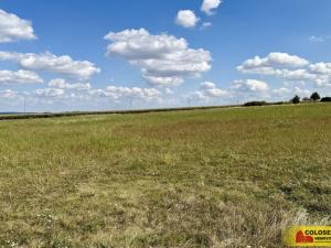 Prodej pozemku pro komerční výstavbu, Znojmo, 22332 m2