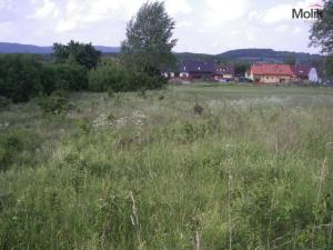 Prodej pozemku pro bydlení, Chabařovice, 2229 m2