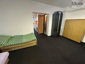 Prodej vícegeneračního domu, Žatec, Tyršova, 417 m2