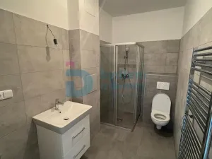 Prodej bytu 1+kk, Doloplazy, 41 m2