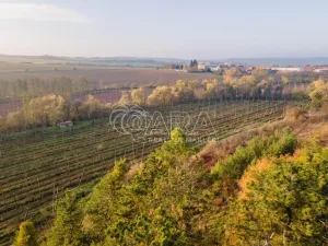 Prodej ubytování, Očihov - Očihovec, 21 m2