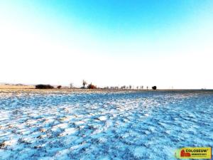 Prodej pozemku pro komerční výstavbu, Znojmo - Mramotice, 8168 m2