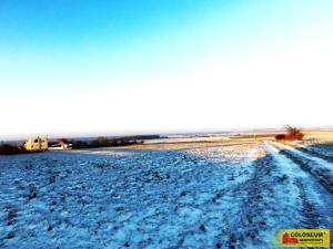 Prodej pozemku pro komerční výstavbu, Znojmo - Mramotice, 8168 m2