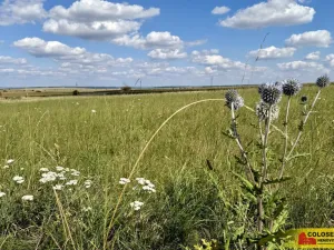 Prodej pozemku pro komerční výstavbu, Znojmo, 27908 m2