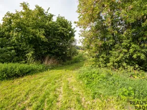 Prodej pozemku pro bydlení, Bouzov, 3462 m2