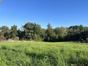 Prodej komerčního pozemku, Třinec - Konská, 1818 m2