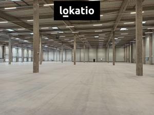 Pronájem skladu, Pardubice, 3500 m2