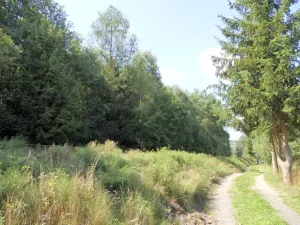 Pronájem bytu 3+kk, Břidličná, Lesy, 67 m2