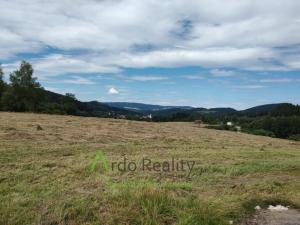 Pronájem pozemku pro komerční výstavbu, Vyšší Brod, 110000 m2