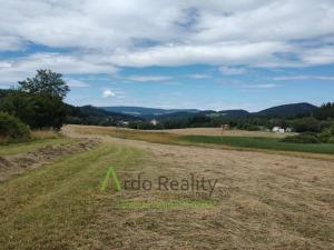 Pronájem pozemku pro komerční výstavbu, Vyšší Brod, 110000 m2