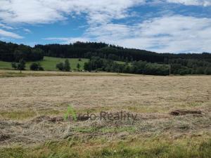 Pronájem pozemku pro komerční výstavbu, Vyšší Brod, 110000 m2