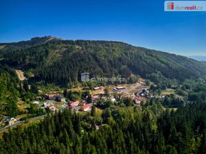 Prodej pozemku pro bydlení, Merklín - Pstruží, 4233 m2