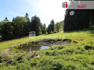 Prodej pozemku pro bydlení, Merklín - Pstruží, 4233 m2