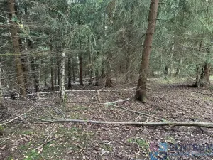 Prodej lesa, Železný Brod - Jirkov, 15992 m2