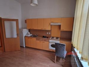 Pronájem bytu 1+kk, Opava - Předměstí, Olomoucká, 56 m2