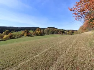 Prodej louky, Stachy, 15932 m2