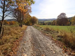 Prodej louky, Stachy, 15932 m2